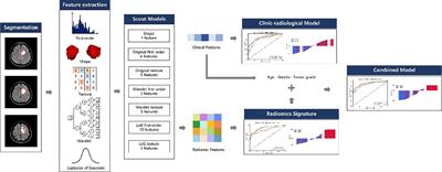 Radiomics Nomogram Improves the Prediction of Epilepsy in Patients With Gliomas